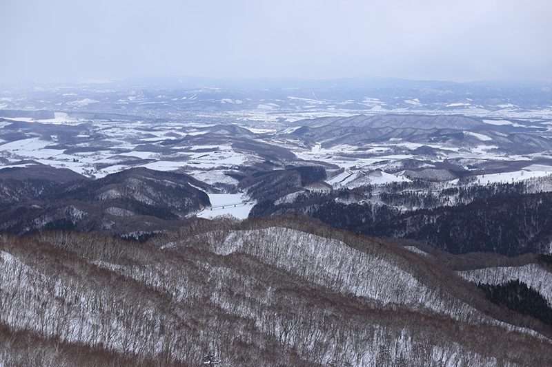 仁頃山　【　↑東新道　↓管理道　2017-5　】_f0054366_07473858.jpg