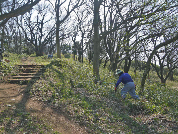 4・1花見に備え、山桜樹林地の下草刈り・3月六国見山定例_c0014967_1041888.jpg