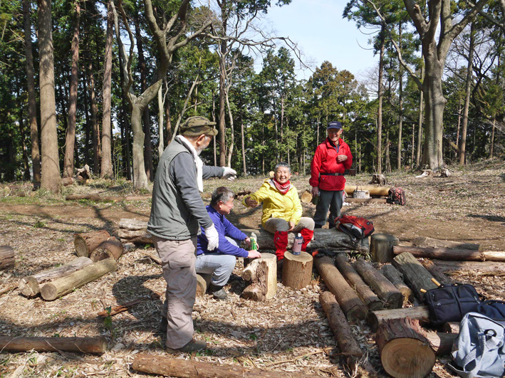 4・1花見に備え、山桜樹林地の下草刈り・3月六国見山定例_c0014967_1051210.jpg