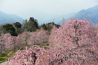 e0275976_13553372.jpg