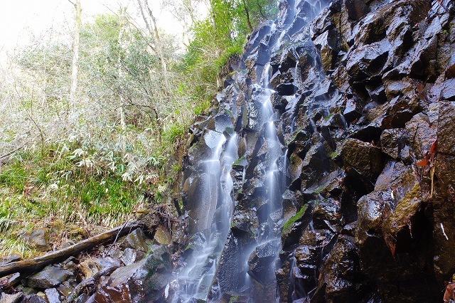 c0324983_11090733.jpg