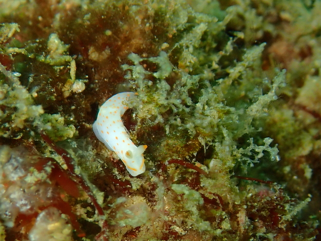 f0151886_1515377.jpg