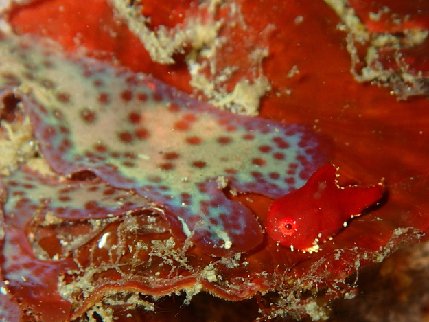 f0151886_15332029.jpg