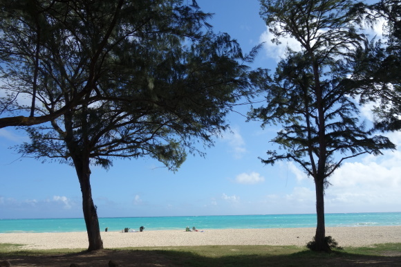 f0174198_07274498.jpg