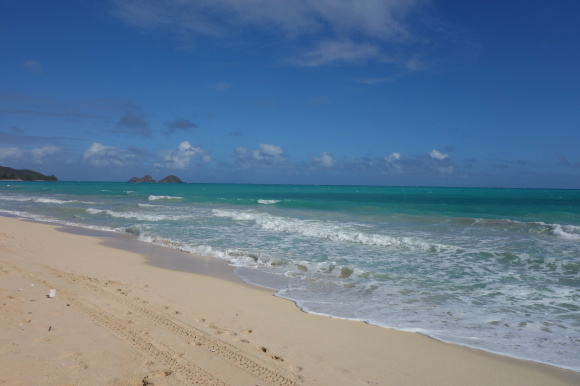 f0174198_07280077.jpg