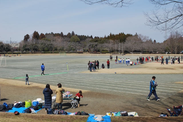 自然公園を歩く…（前半）_e0025300_16365311.jpg