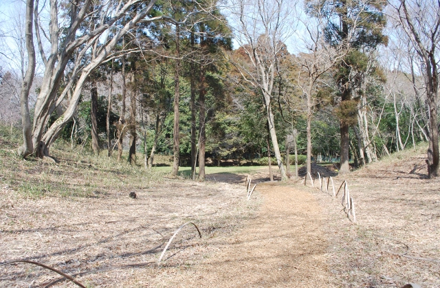 e0025300_1637112.jpg