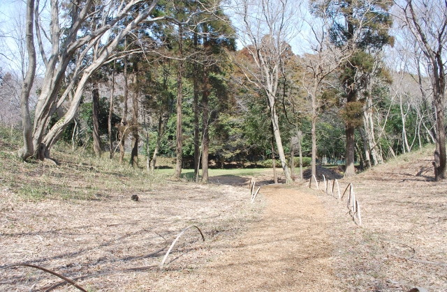 自然公園を歩く…（前半）_e0025300_1637112.jpg