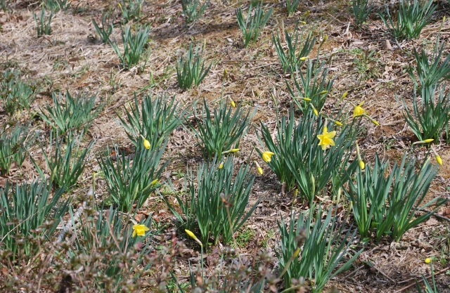 自然公園を歩く…（前半）_e0025300_1650140.jpg