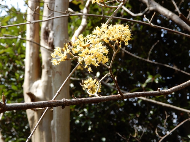 自然公園を歩く…（後半）_e0025300_17331064.jpg