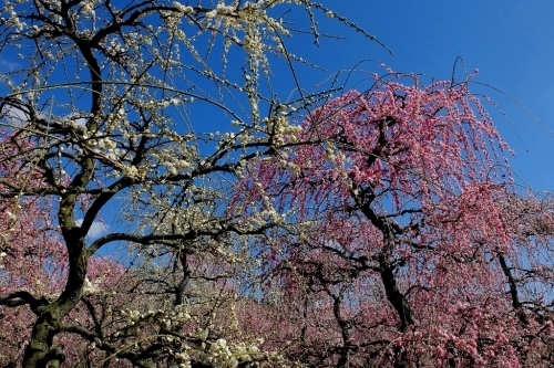 e0304001_22181657.jpg