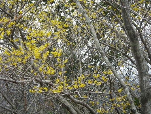 f0187402_16124158.jpg