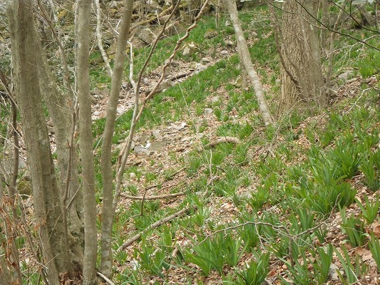 f0187402_16134384.jpg