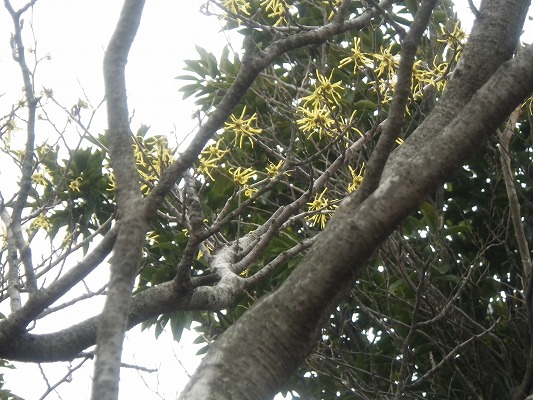 f0187402_16141437.jpg
