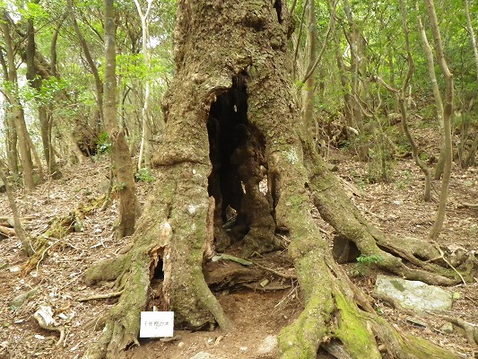 f0187402_16151928.jpg