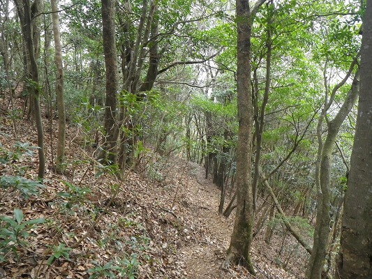 f0187402_1615214.jpg