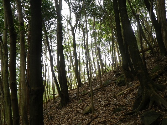f0187402_1615435.jpg