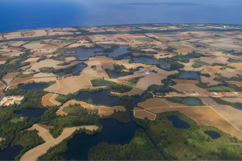 d0147406_18231268.jpg