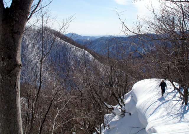 a0345007_1012743.jpg