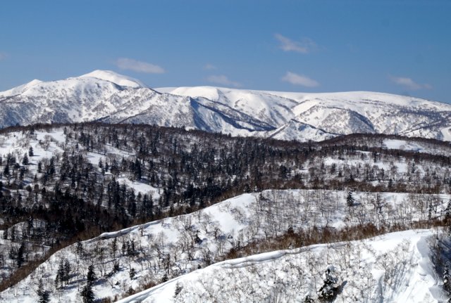 a0345007_1014197.jpg