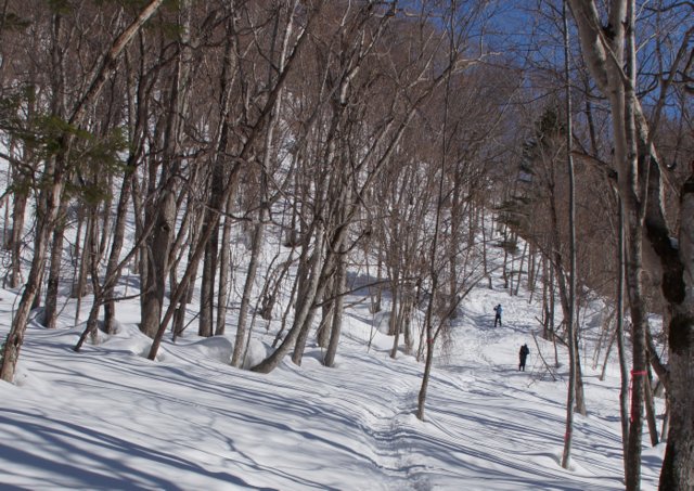 a0345007_101617.jpg