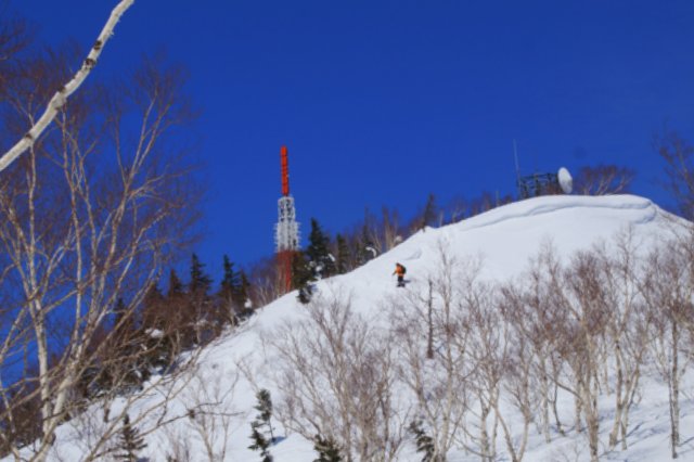 a0345007_1032238.jpg