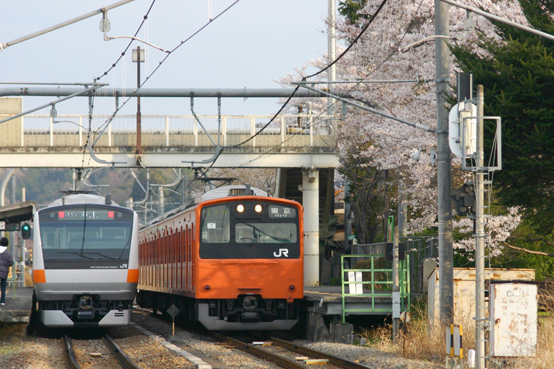 b0353411_23563516.jpg