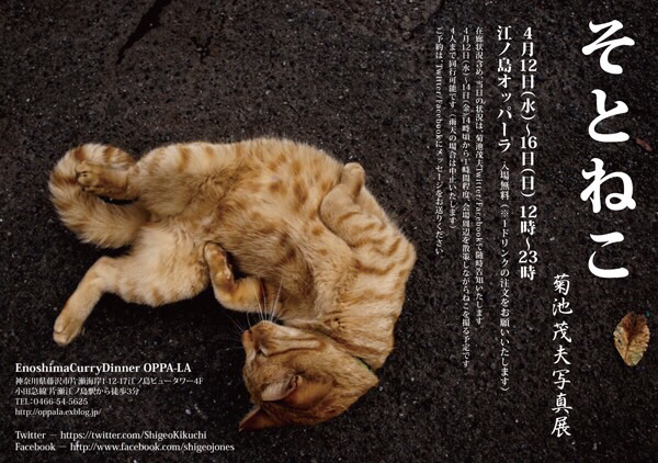 菊池茂夫 写真展【 そとねこ 】が4月12日〜16日に猫の聖地 江の島を一望するレストランにて開催決定!_d0106911_12584737.jpg