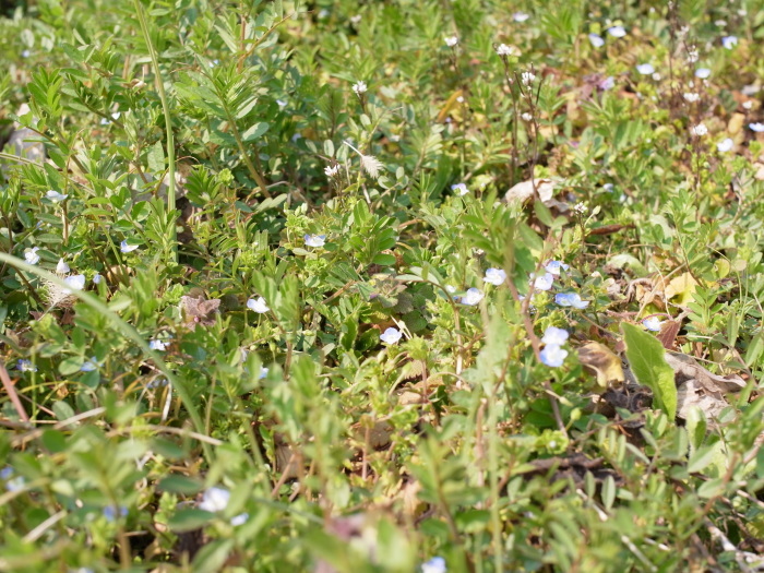 e0276411_22572430.jpg