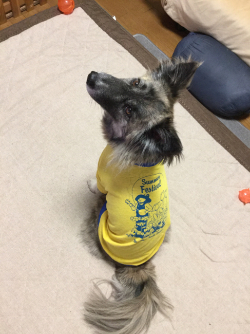 f0329311_00455344.jpg