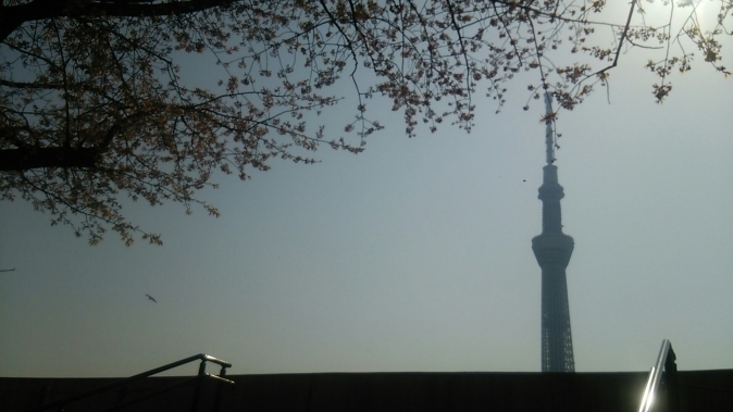 b0133713_14264096.jpg