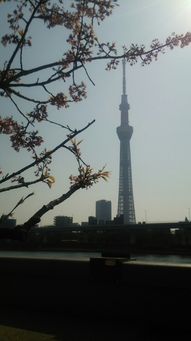 b0133713_14264699.jpg