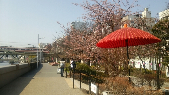 b0133713_14265051.jpg
