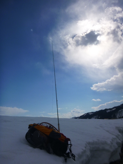 a0236914_14393358.jpg