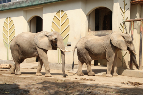 熊本動植物園 - ナナイロノート