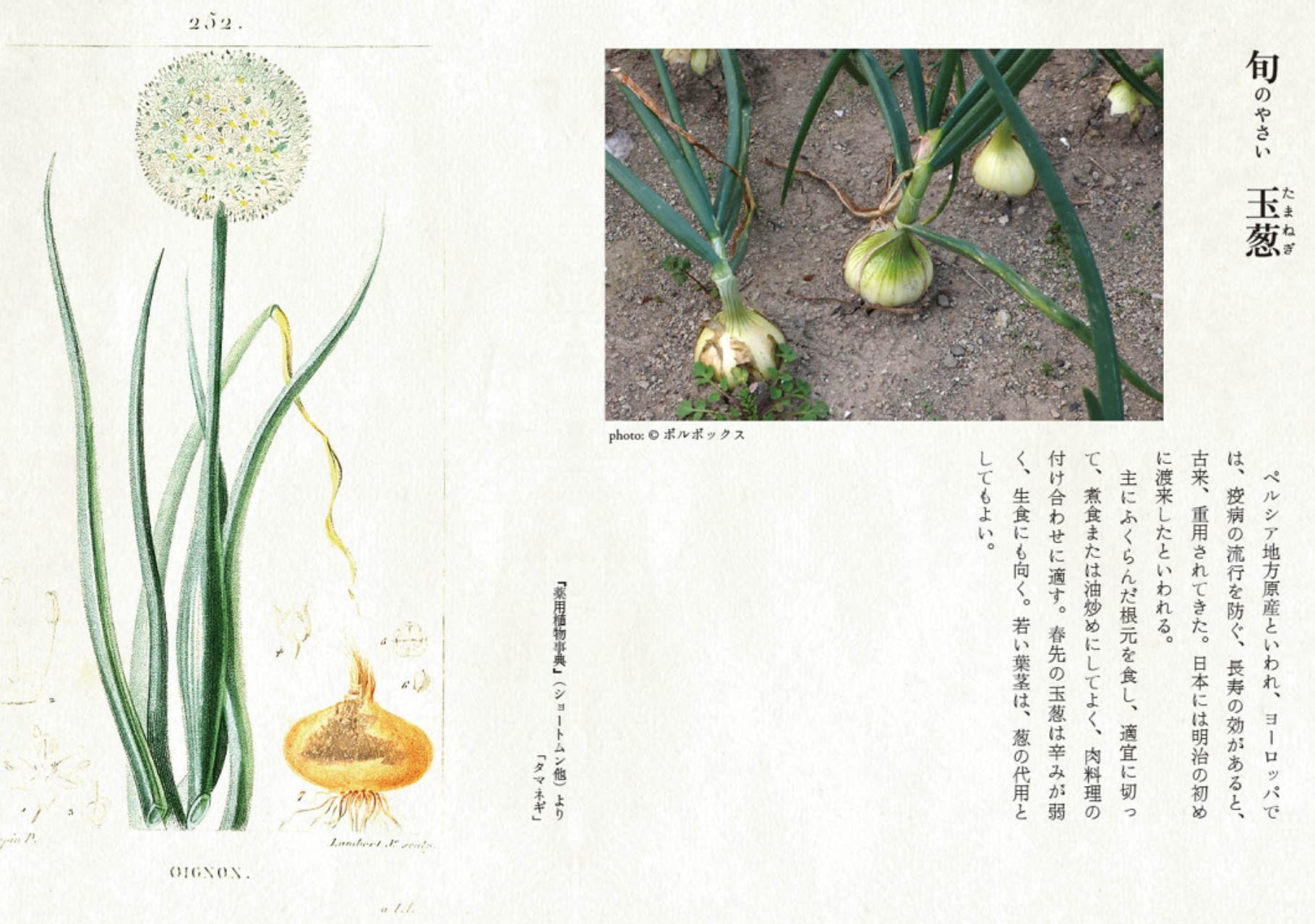 春分の日_c0025115_21150508.jpg
