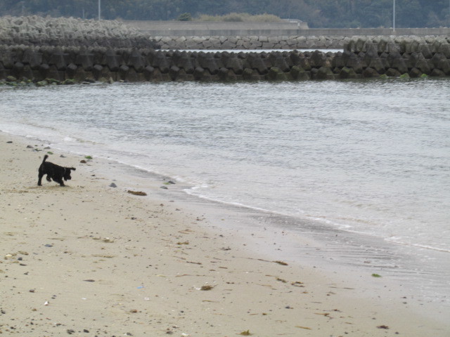 f0341616_16392092.jpg