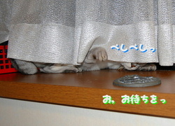 a0287517_10234458.jpg
