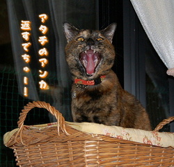 a0287517_10235628.jpg