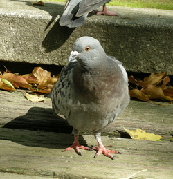 a0287517_10253739.jpg