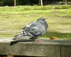 a0287517_10253770.jpg