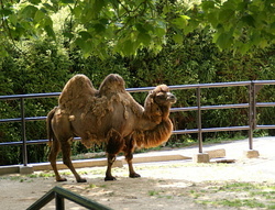 a0287517_10260074.jpg