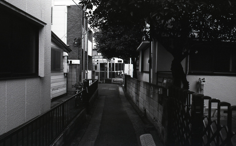 d0339617_13053250.jpg