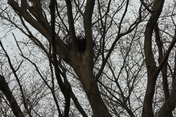 f0354923_00291477.jpg