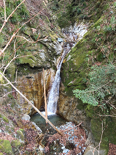 e0024026_22491660.jpg