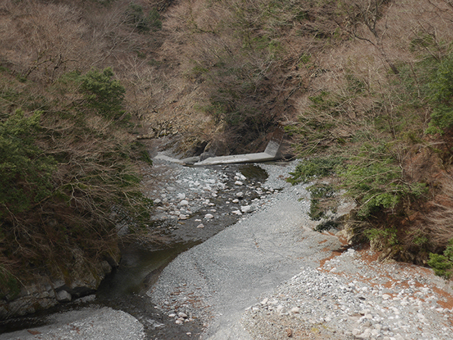 e0024026_22491793.jpg