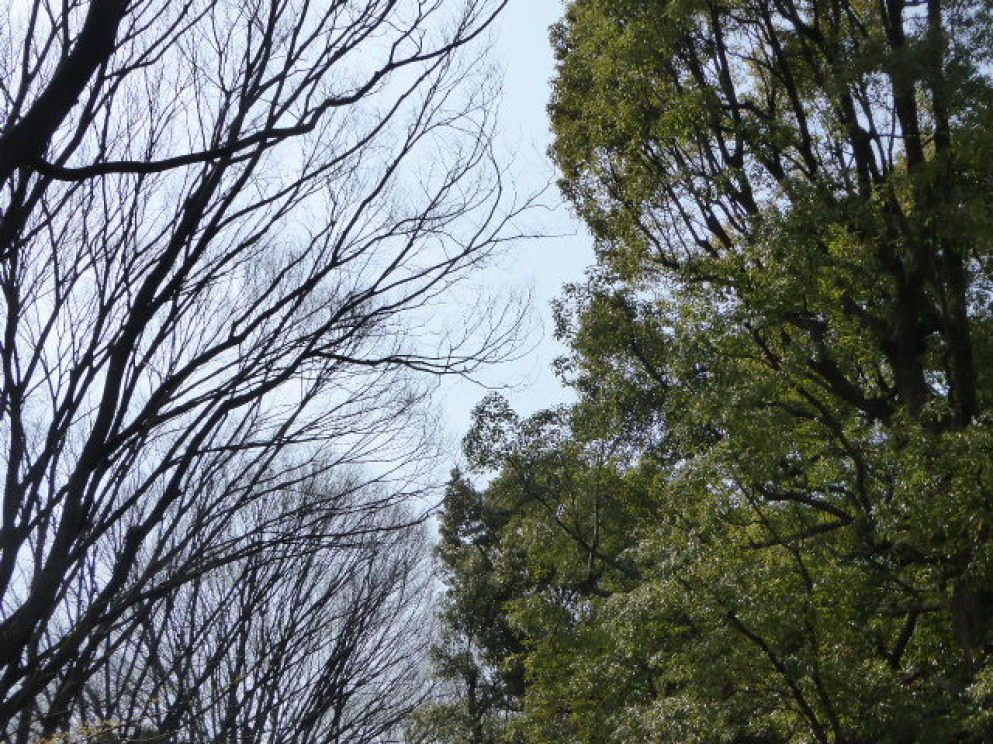 e0059726_17214220.jpg