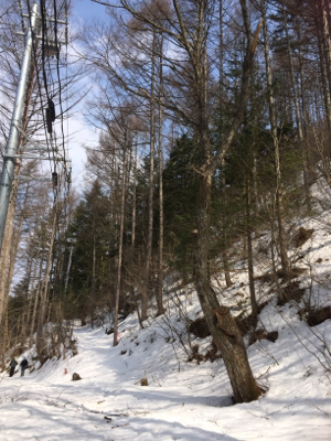 薮原から奈良井 中山道３月は雪景色_f0036028_22270750.jpg