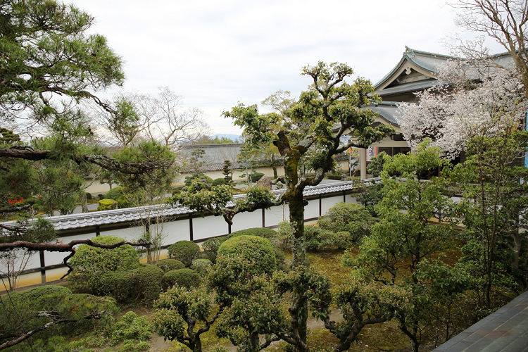 大津の桜 －坂本（後編）－_b0169330_1520473.jpg