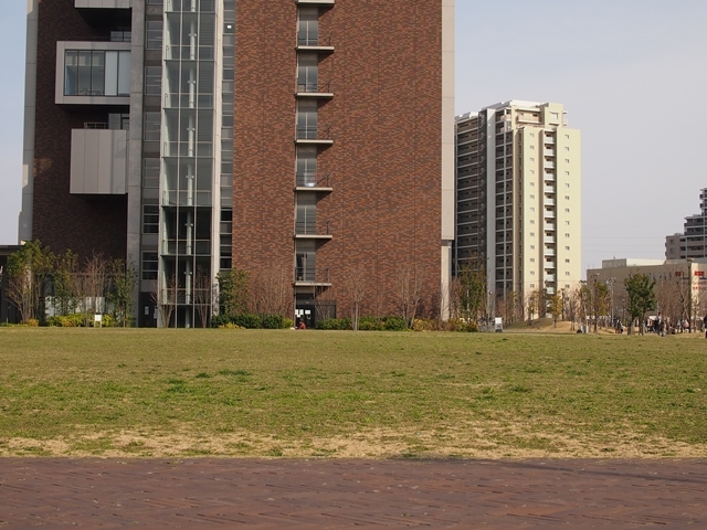 c0117831_20422537.jpg